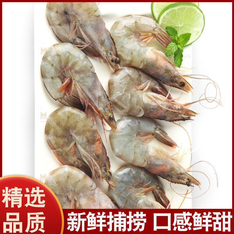 白底上的大虾