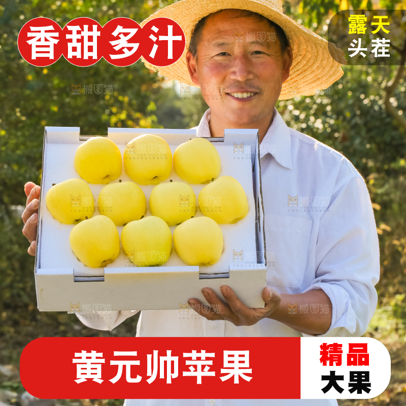 手里拿着黄元帅苹果