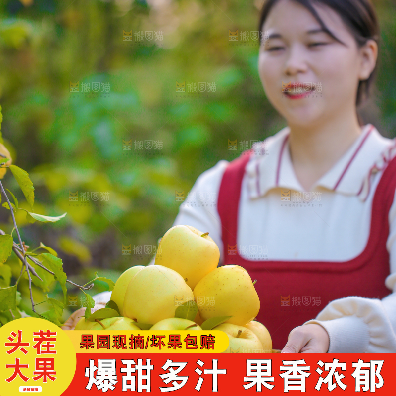 手里拿着黄元帅苹果