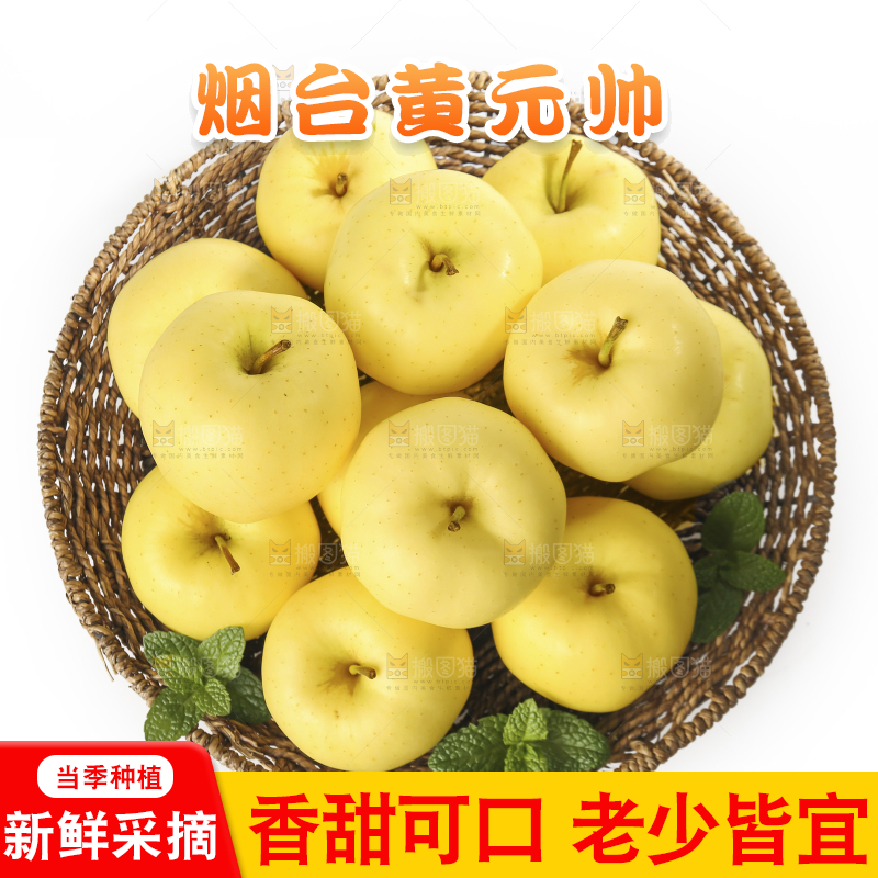 白底上的黄元帅苹果