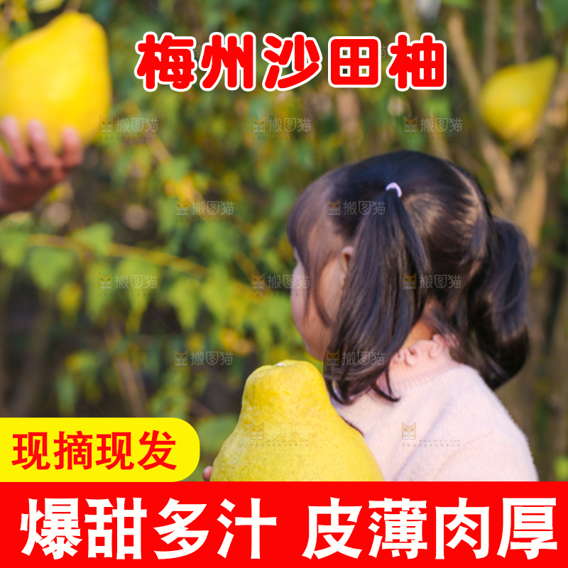 手里拿着沙田柚