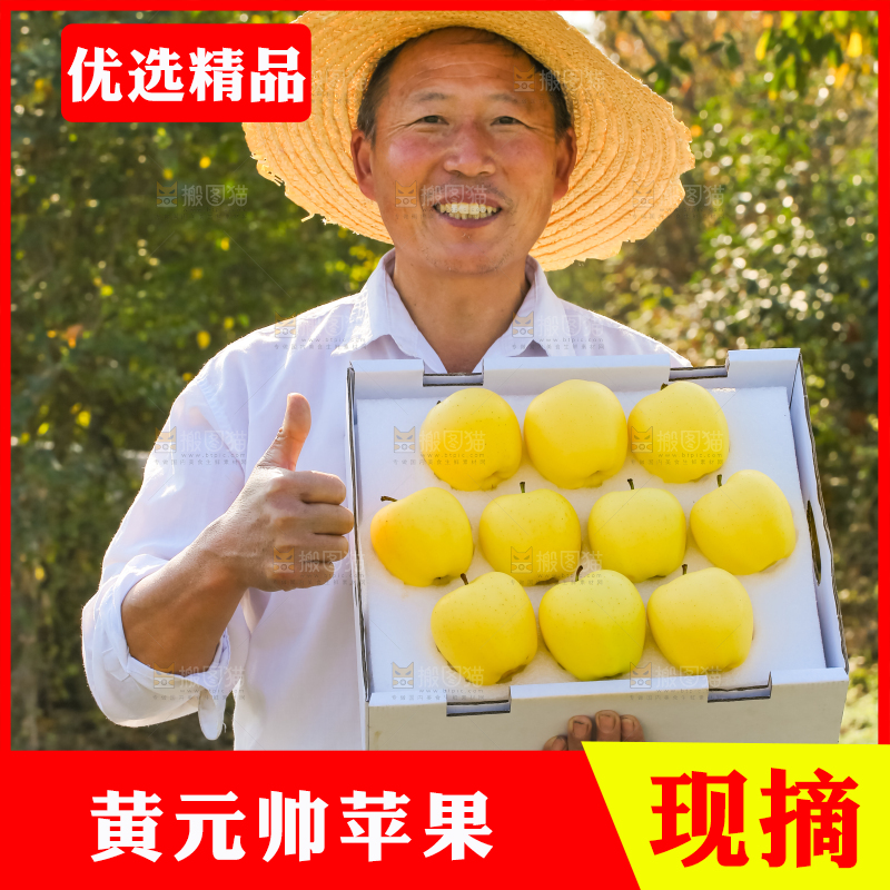 手里拿着黄元帅苹果