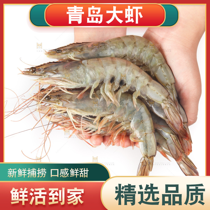 白底上的大虾