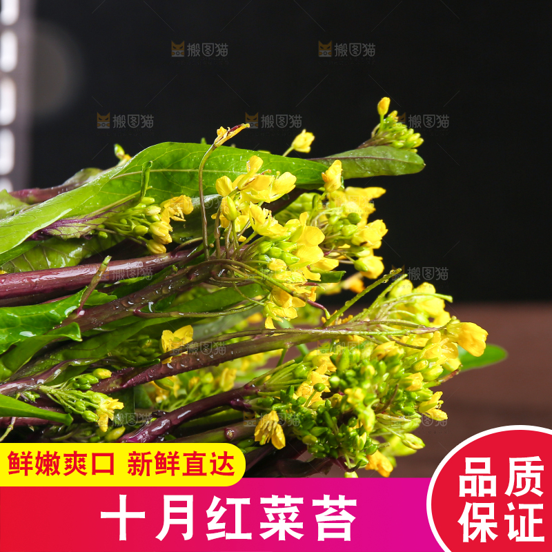 深底上的红菜苔