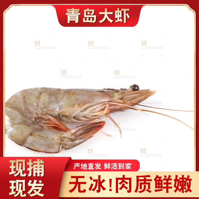 白底上的大虾