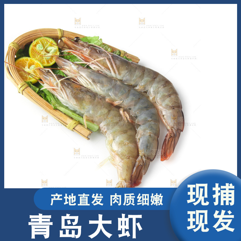 白底上的大虾