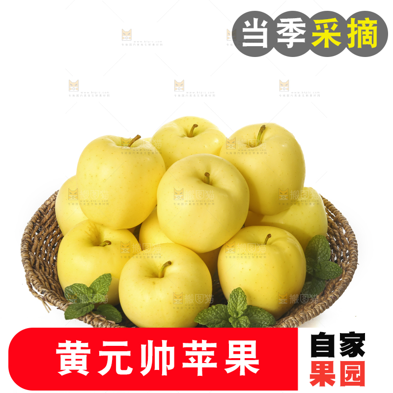 白底上的黄元帅苹果