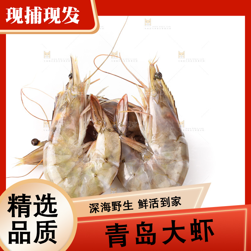 白底上的大虾