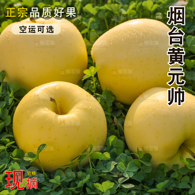 手里拿着黄元帅苹果