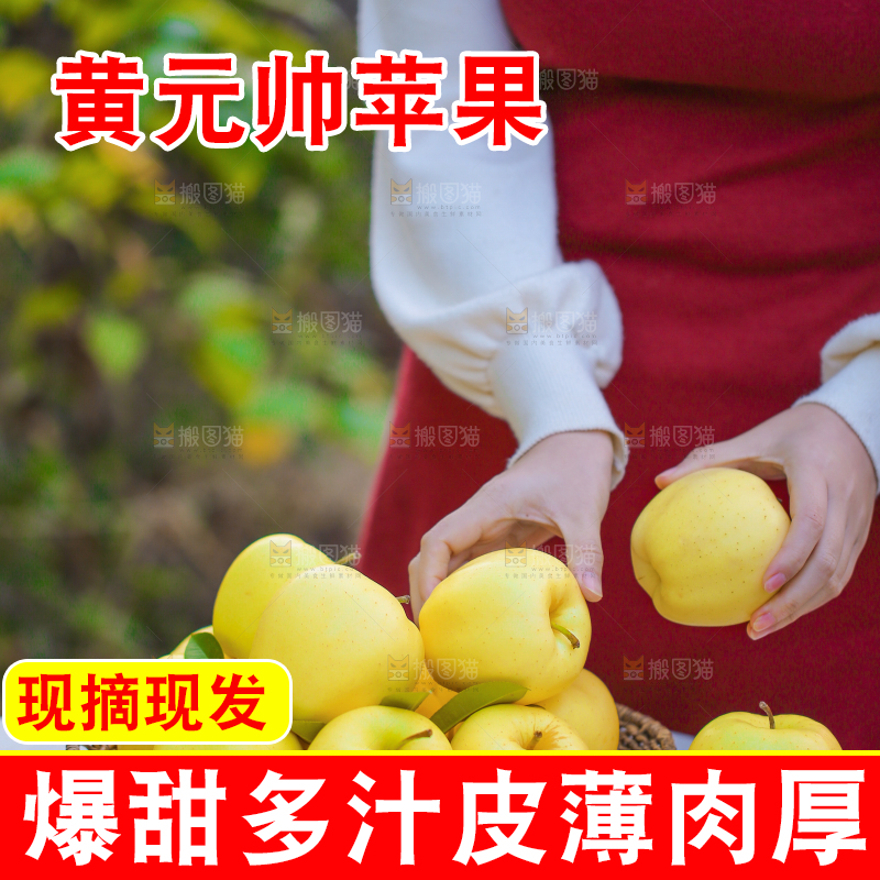 手里拿着黄元帅苹果