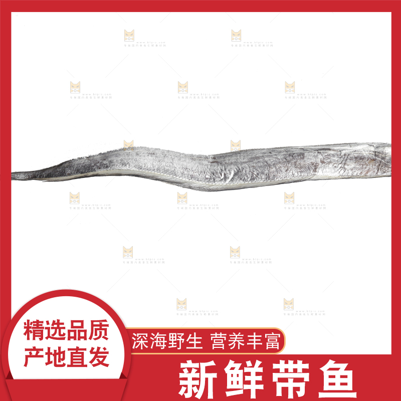 白底上的带鱼