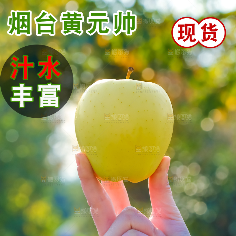 手里拿着黄元帅苹果