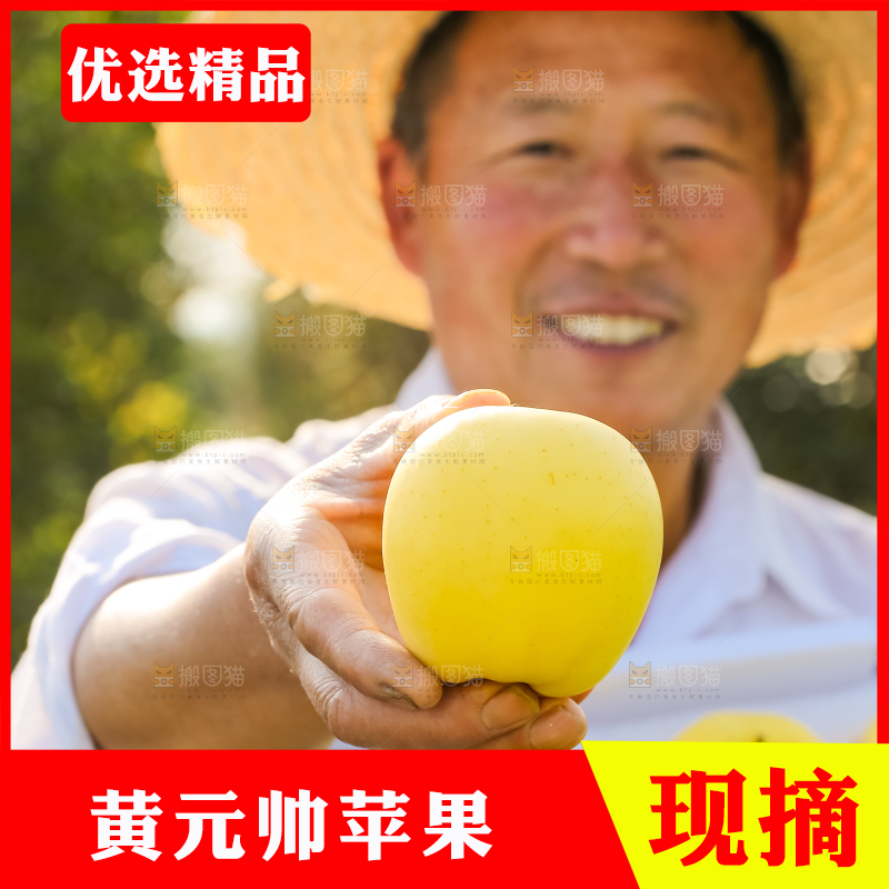 手里拿着黄元帅苹果