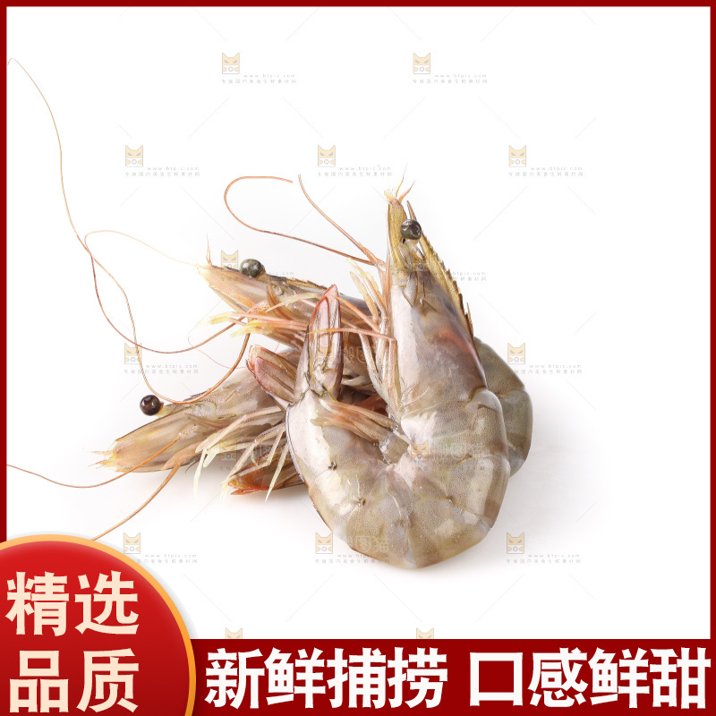 白底上的大虾