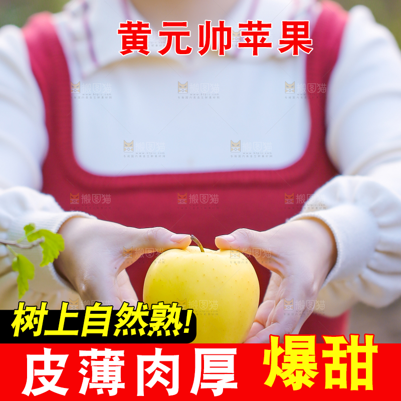 手里拿着黄元帅苹果