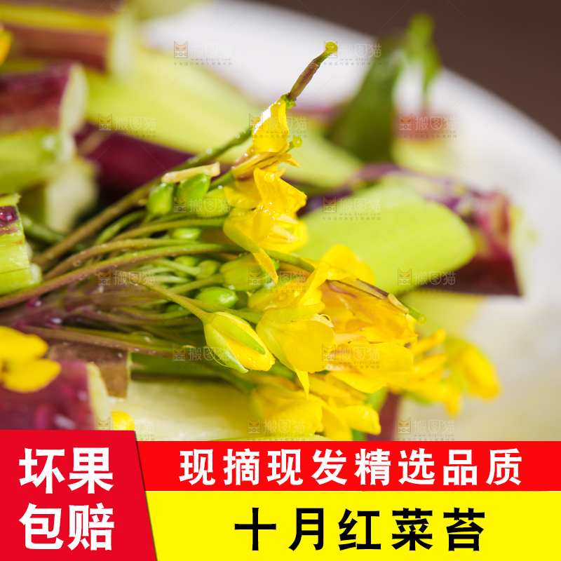 深底上的红菜苔