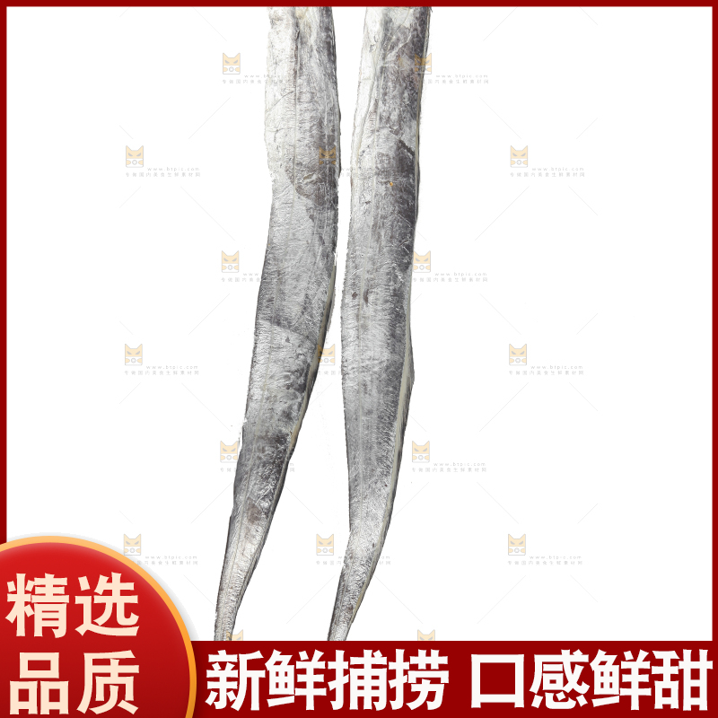 白底上的带鱼