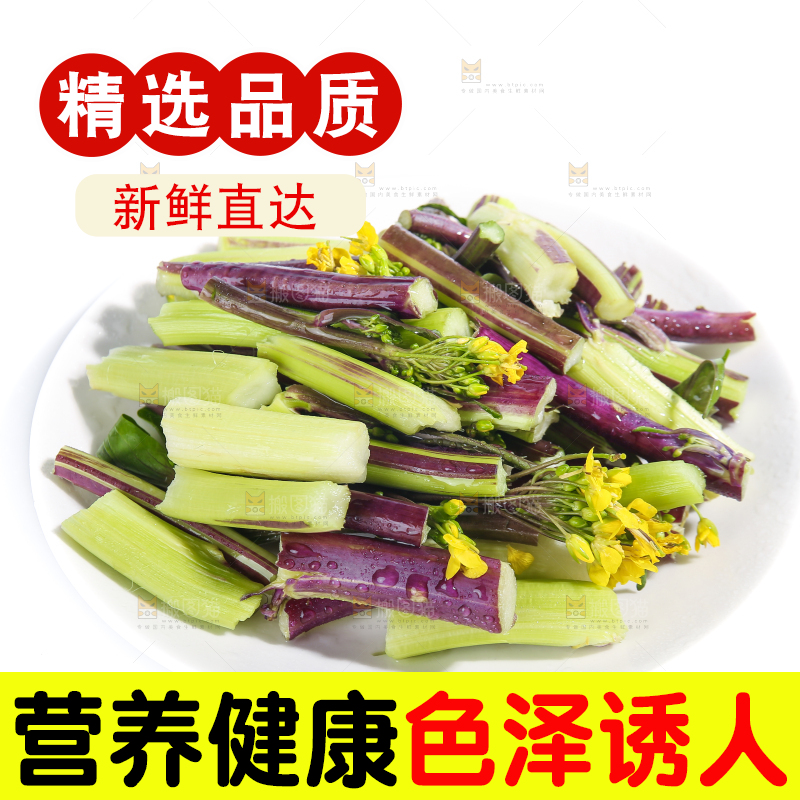 白底上的红菜苔