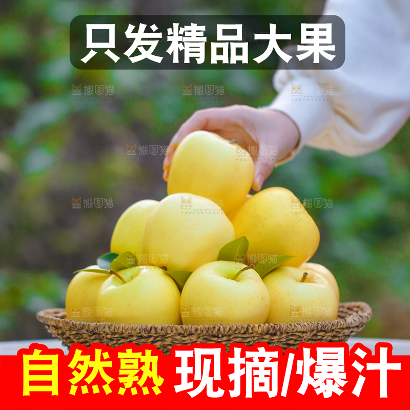 手里拿着黄元帅苹果