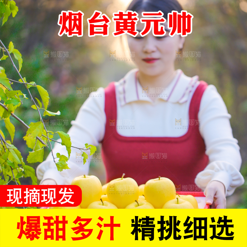 手里拿着黄元帅苹果