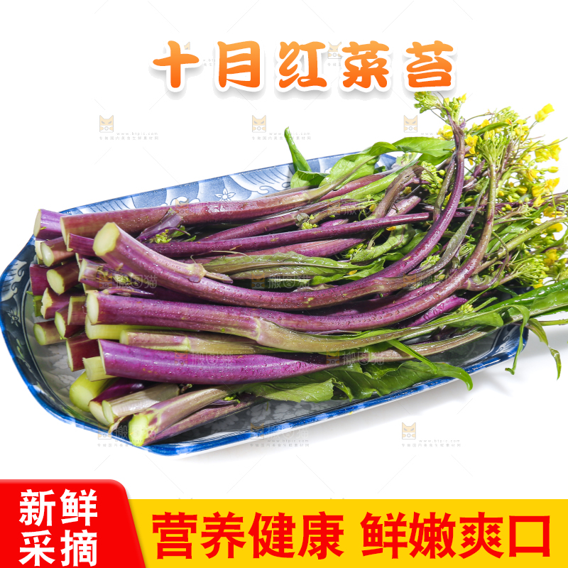 白底上的红菜苔