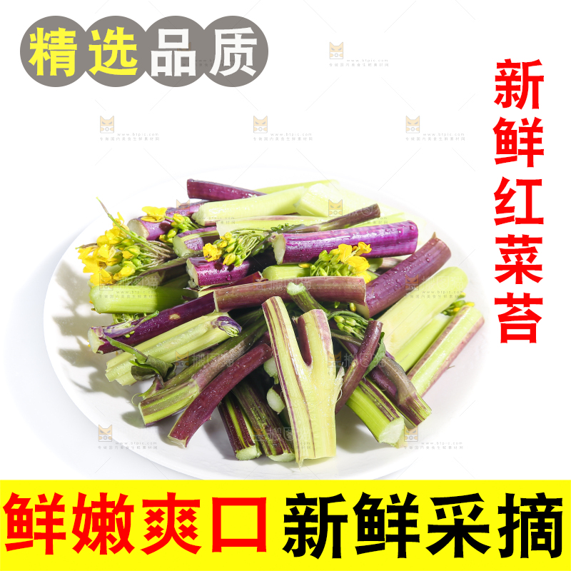 白底上的红菜苔