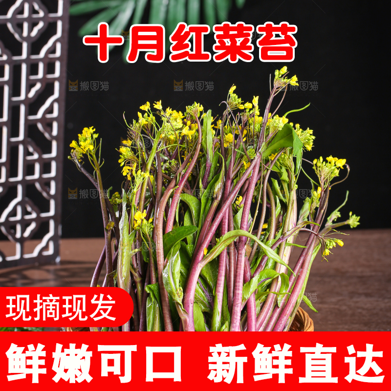 深底上的红菜苔