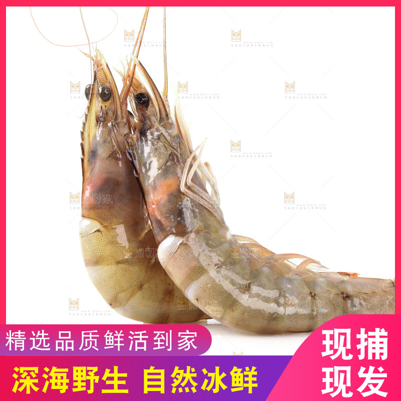 白底上的大虾
