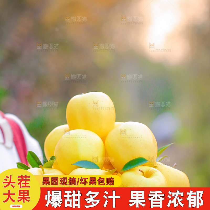 手里拿着黄元帅苹果