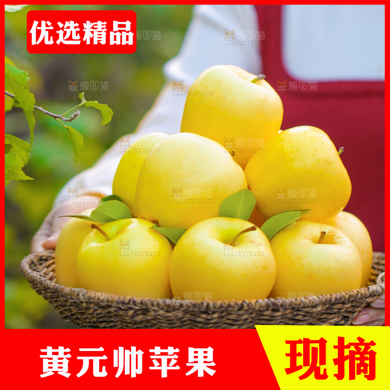 手里拿着黄元帅苹果