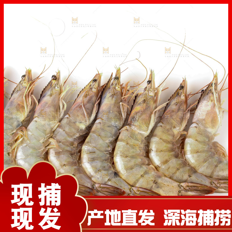 白底上的大虾