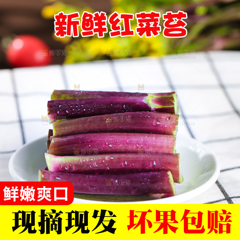 浅底上的红菜苔