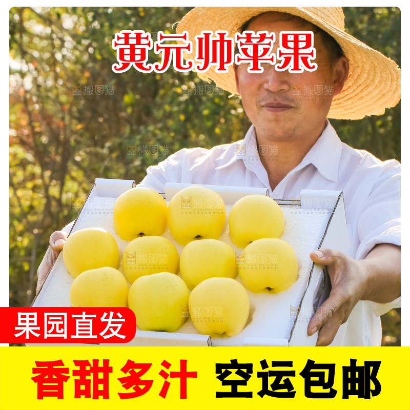 手里拿着黄元帅苹果