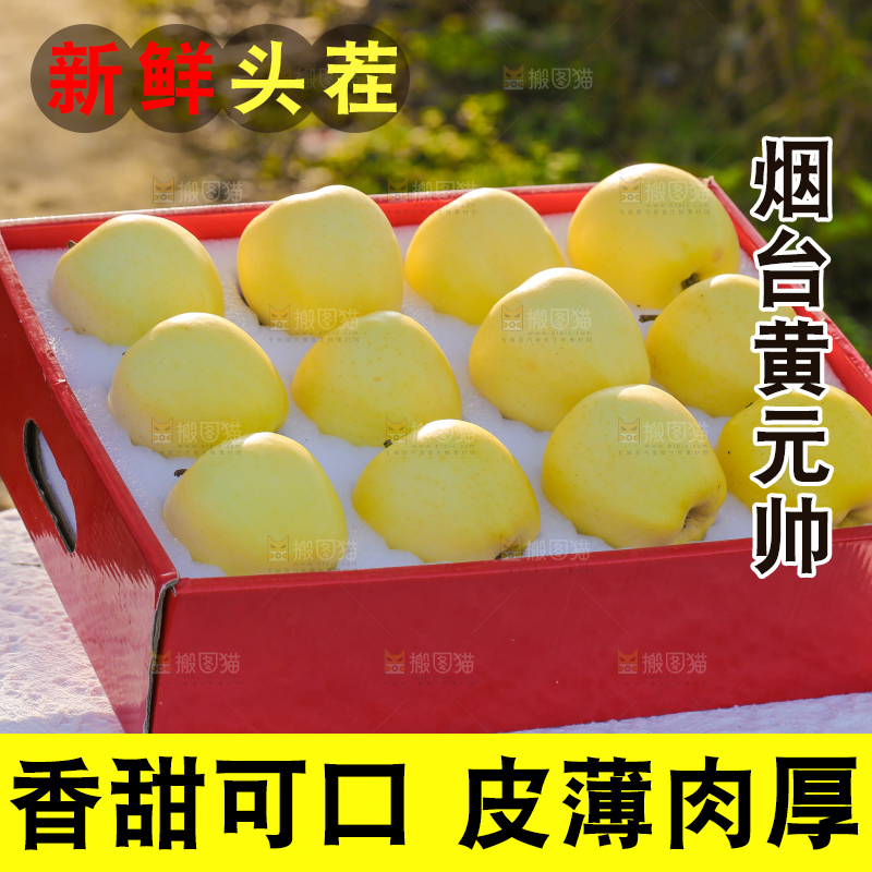 手里拿着黄元帅苹果