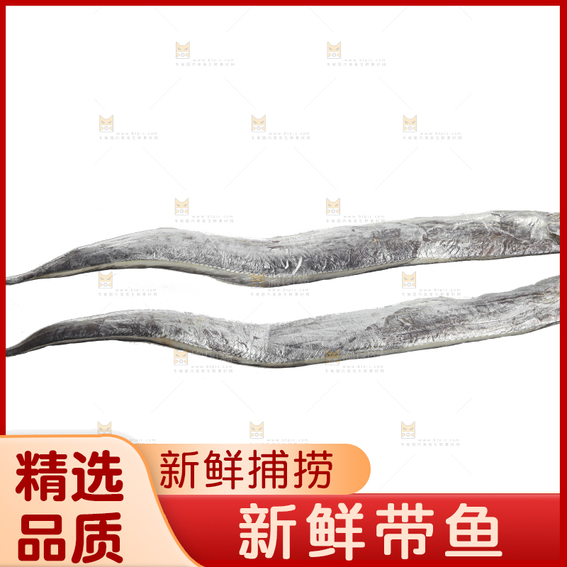 白底上的带鱼