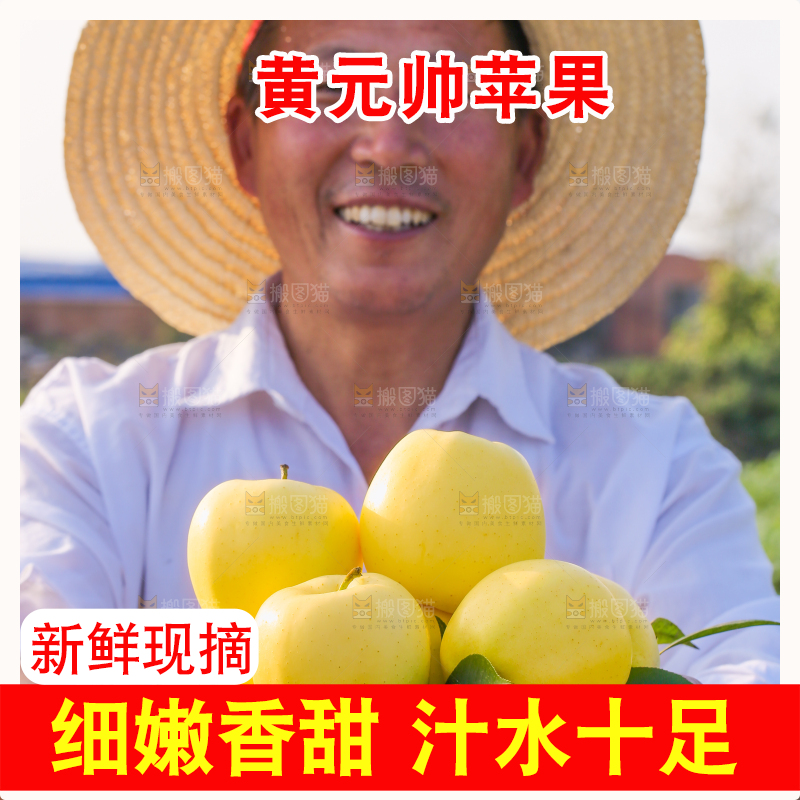 手里拿着黄元帅苹果