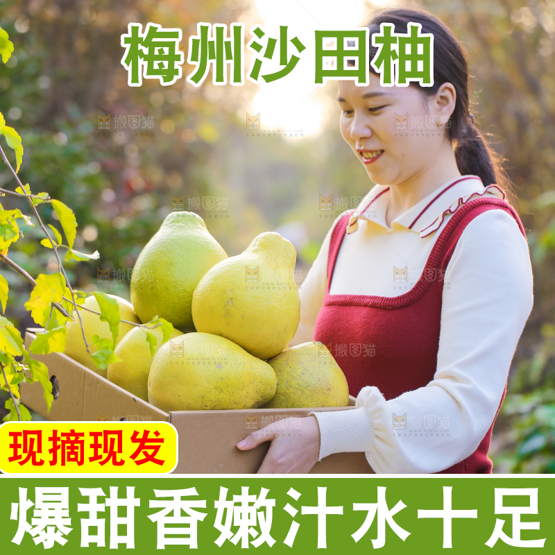 手里拿着沙田柚