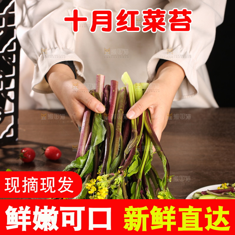 深底上的红菜苔