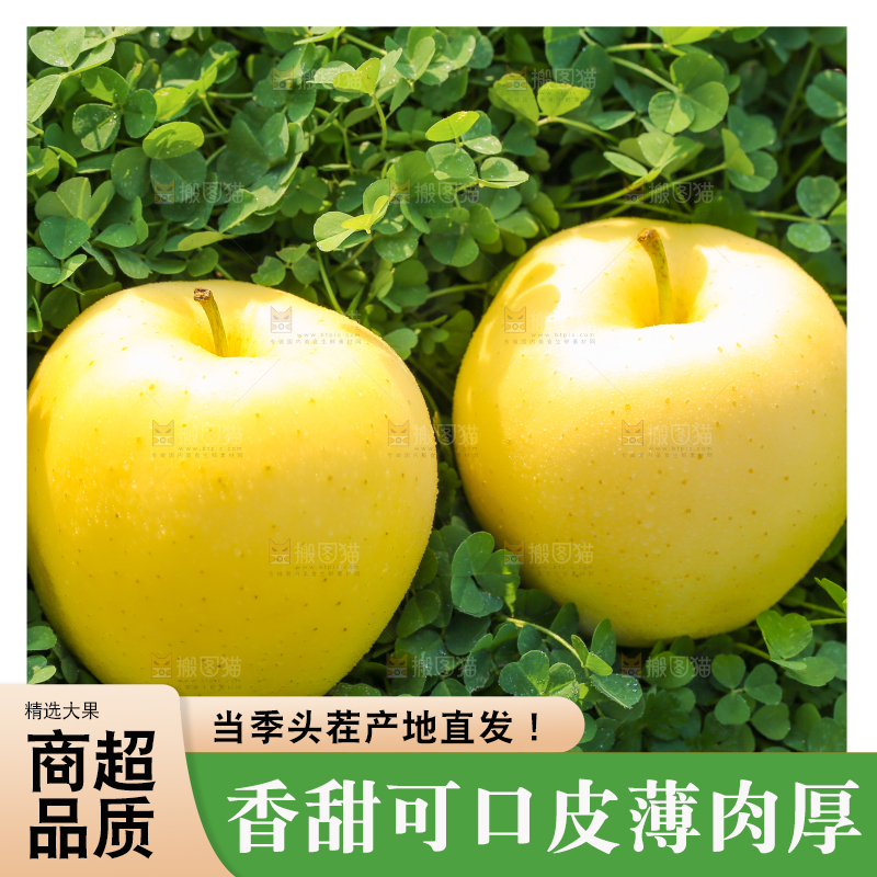 手里拿着黄元帅苹果