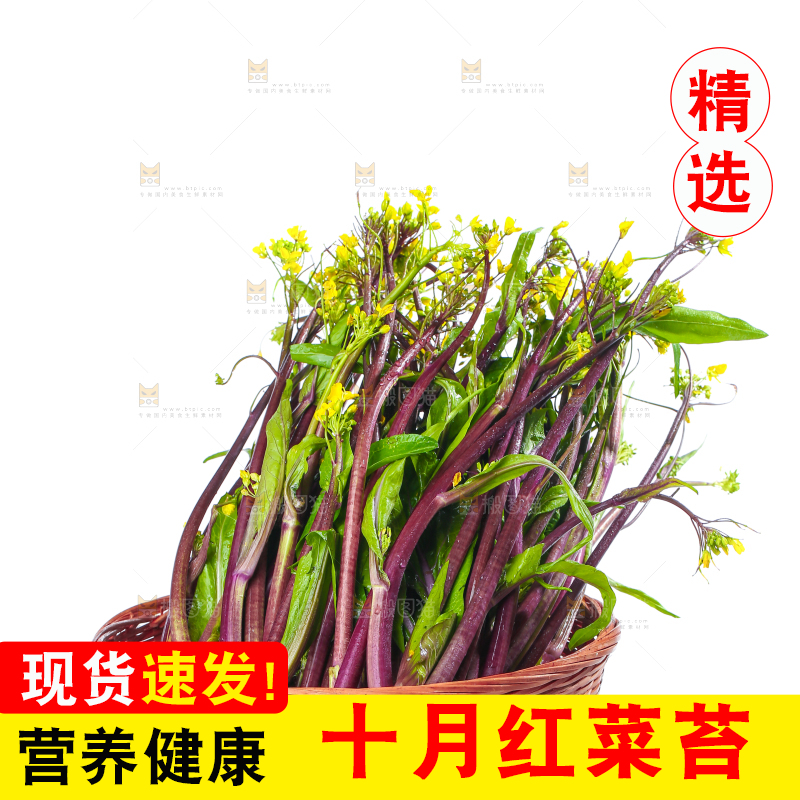 白底上的红菜苔