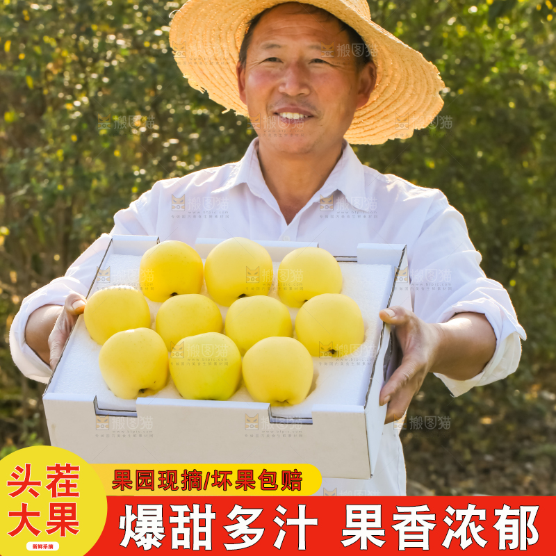 手里拿着黄元帅苹果