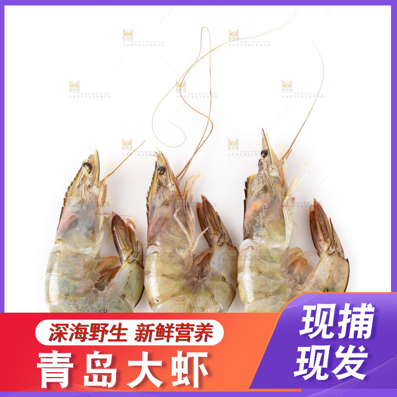 白底上的大虾