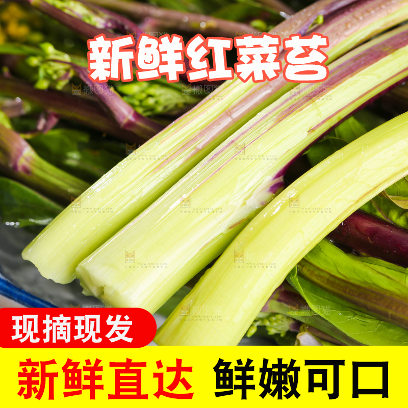 深底上的红菜苔