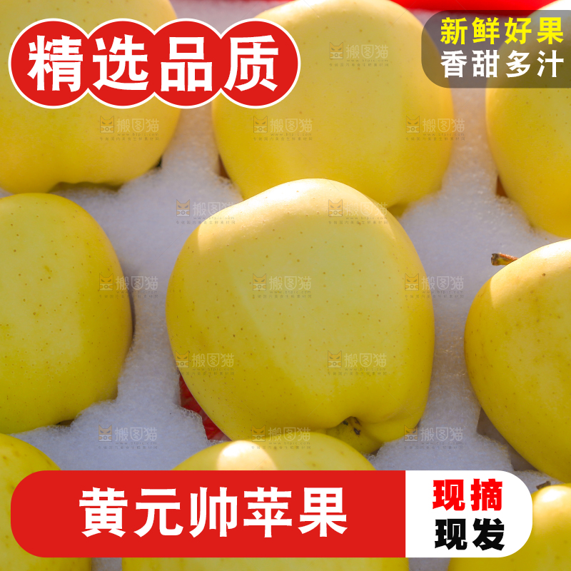 手里拿着黄元帅苹果