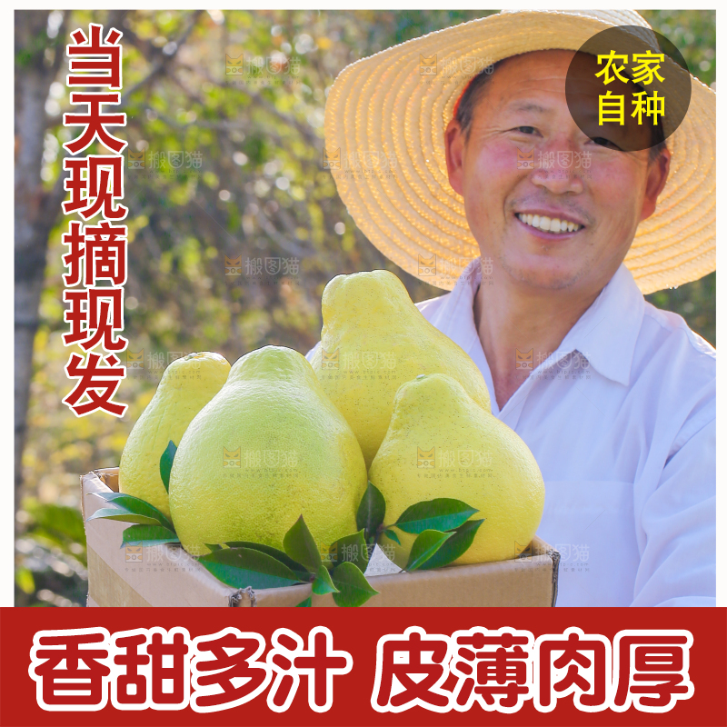 手里拿着沙田柚