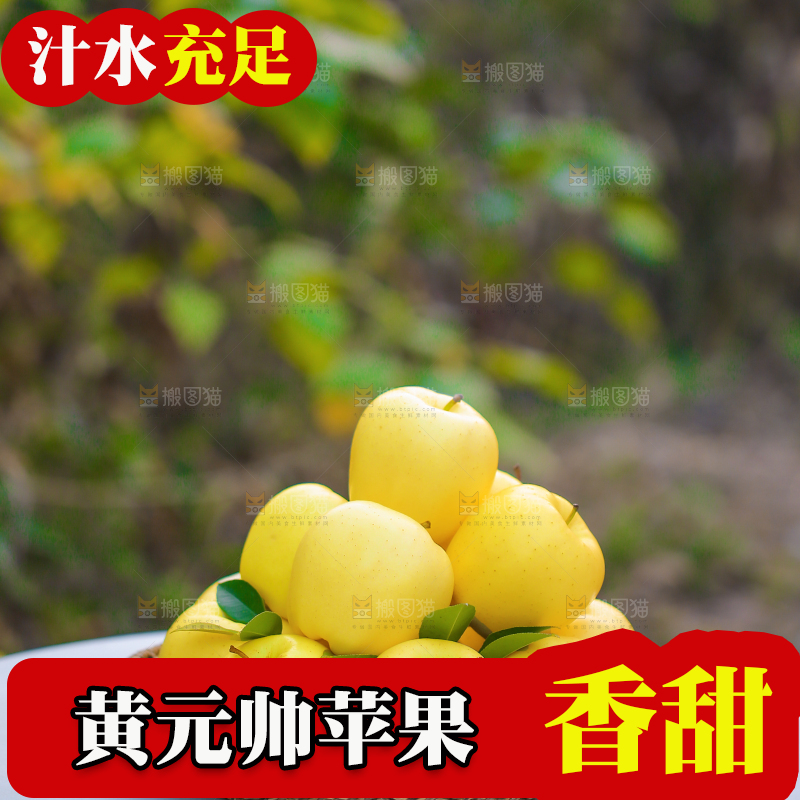 手里拿着黄元帅苹果