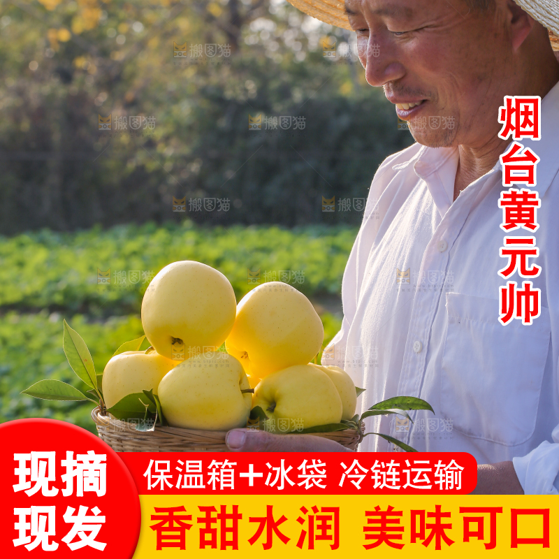手里拿着黄元帅苹果