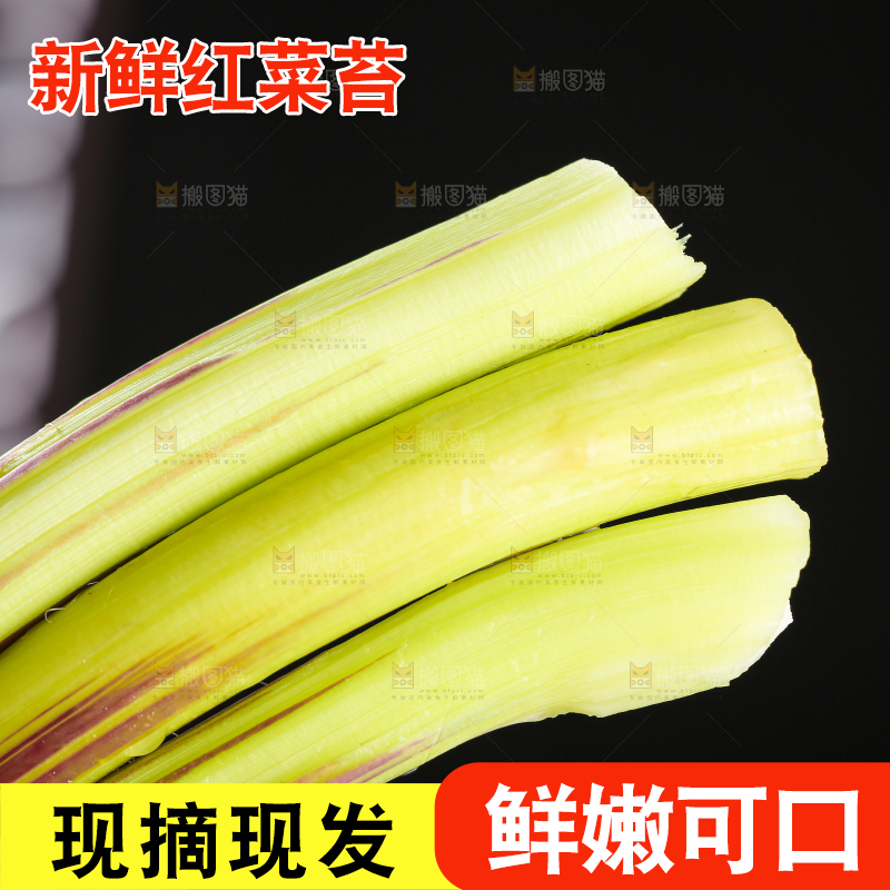 深底上的红菜苔