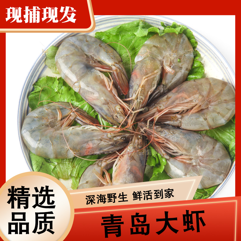 白底上的大虾