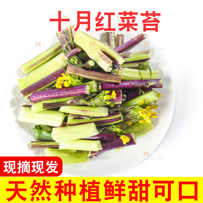 白底上的红菜苔